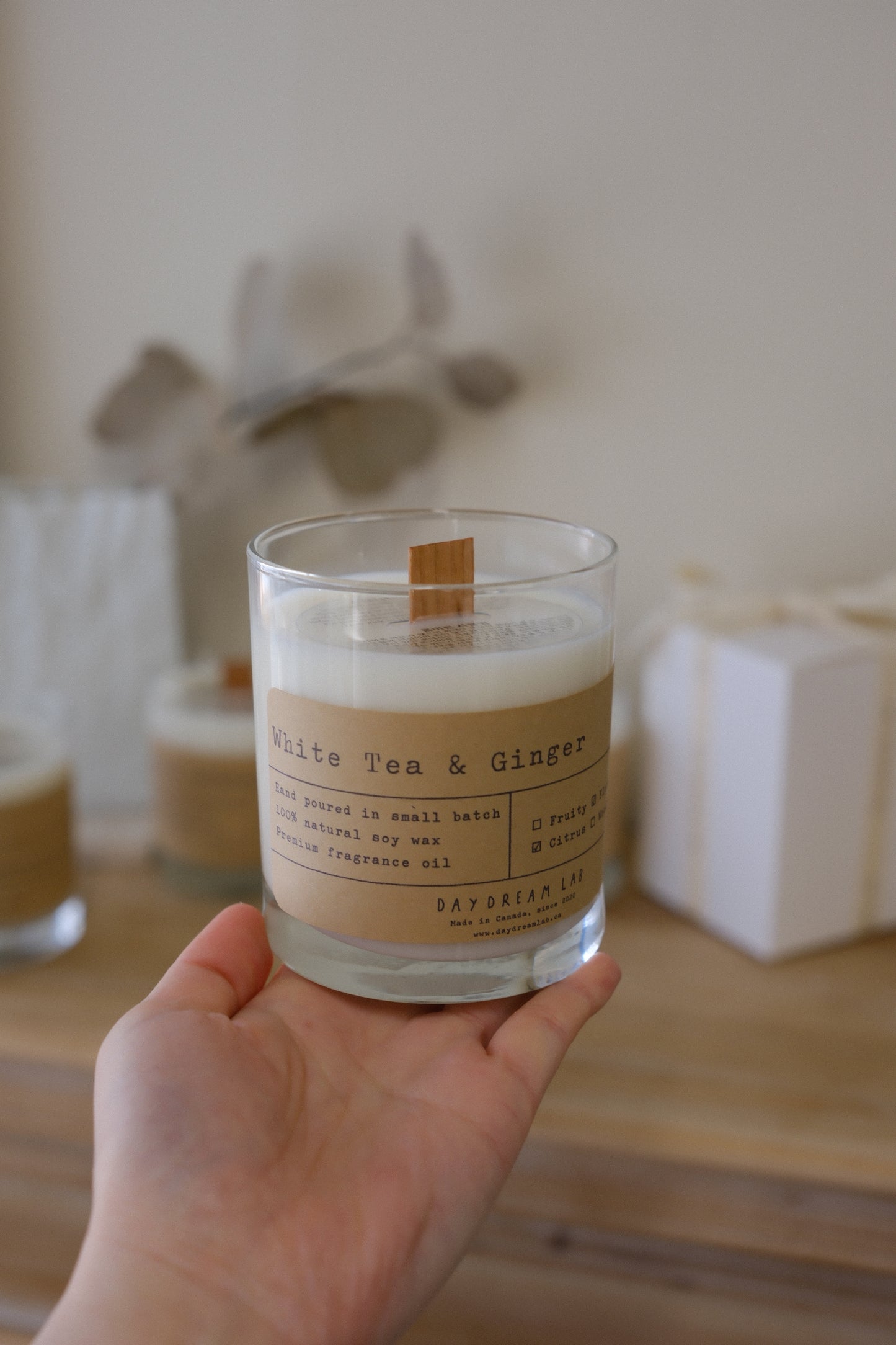 Classic Natural Soy Wax Container Candle 经典容器大豆蜡烛