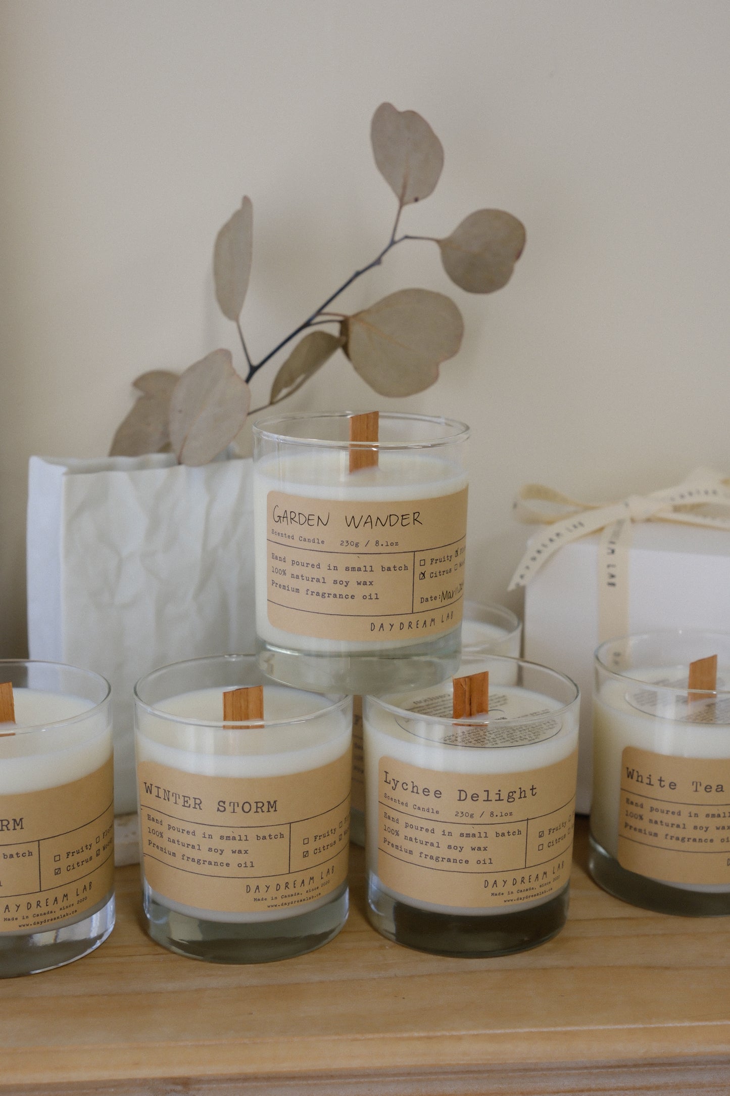 Classic Natural Soy Wax Container Candle 经典容器大豆蜡烛