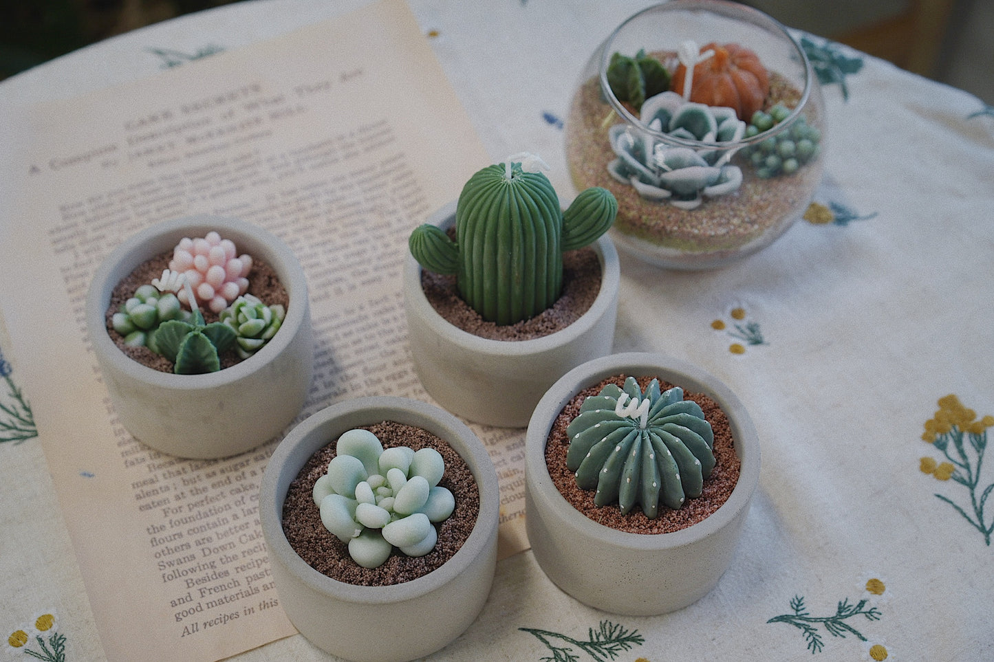 Cactus Candle ๐ต Scented Diffuser Candle