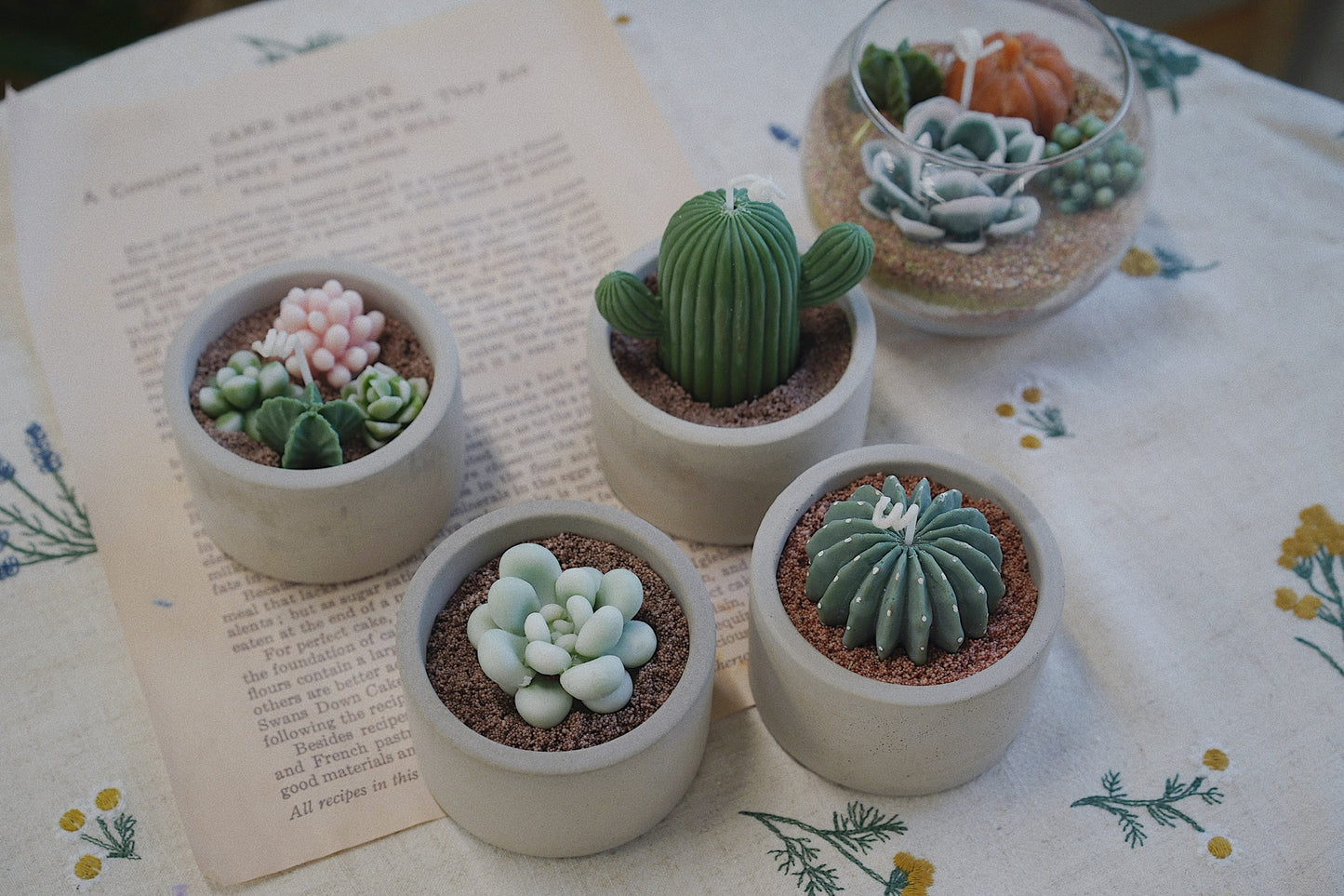 Cactus Candle ๐ต Scented Diffuser Candle