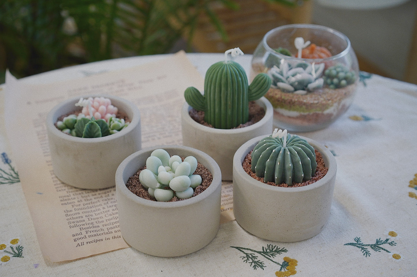 Cactus Candle ๐ต Scented Diffuser Candle