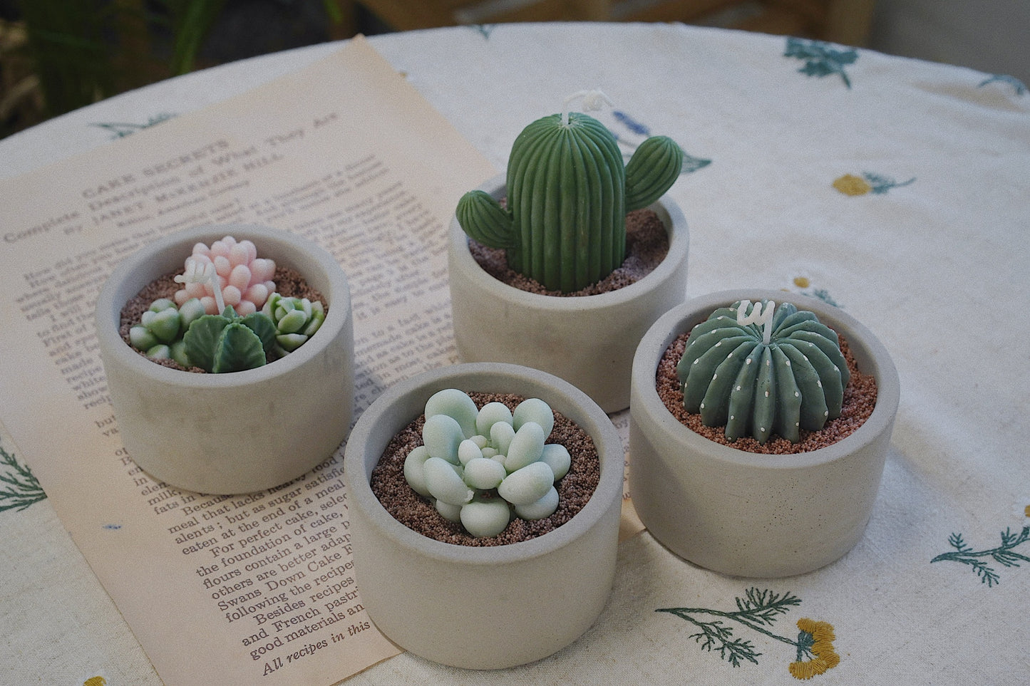 Cactus Candle ๐ต Scented Diffuser Candle