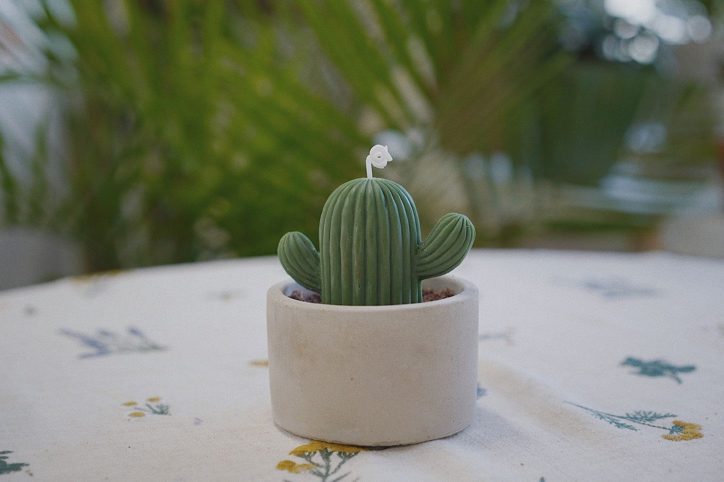 Cactus Candle ๐ต Scented Diffuser Candle