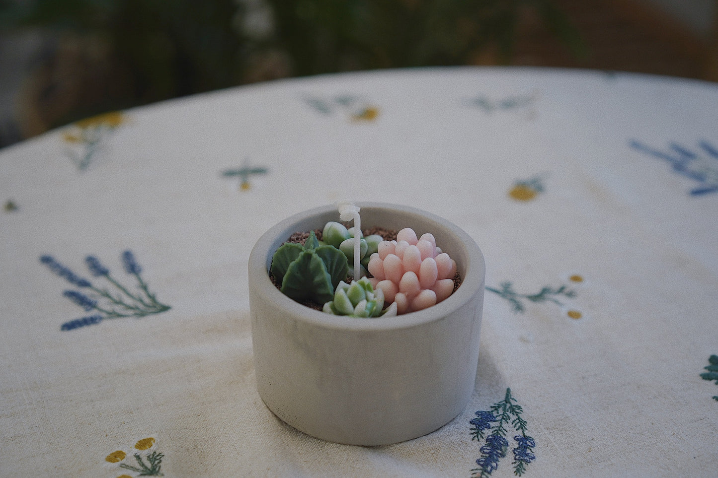 Cactus Candle ๐ต Scented Diffuser Candle