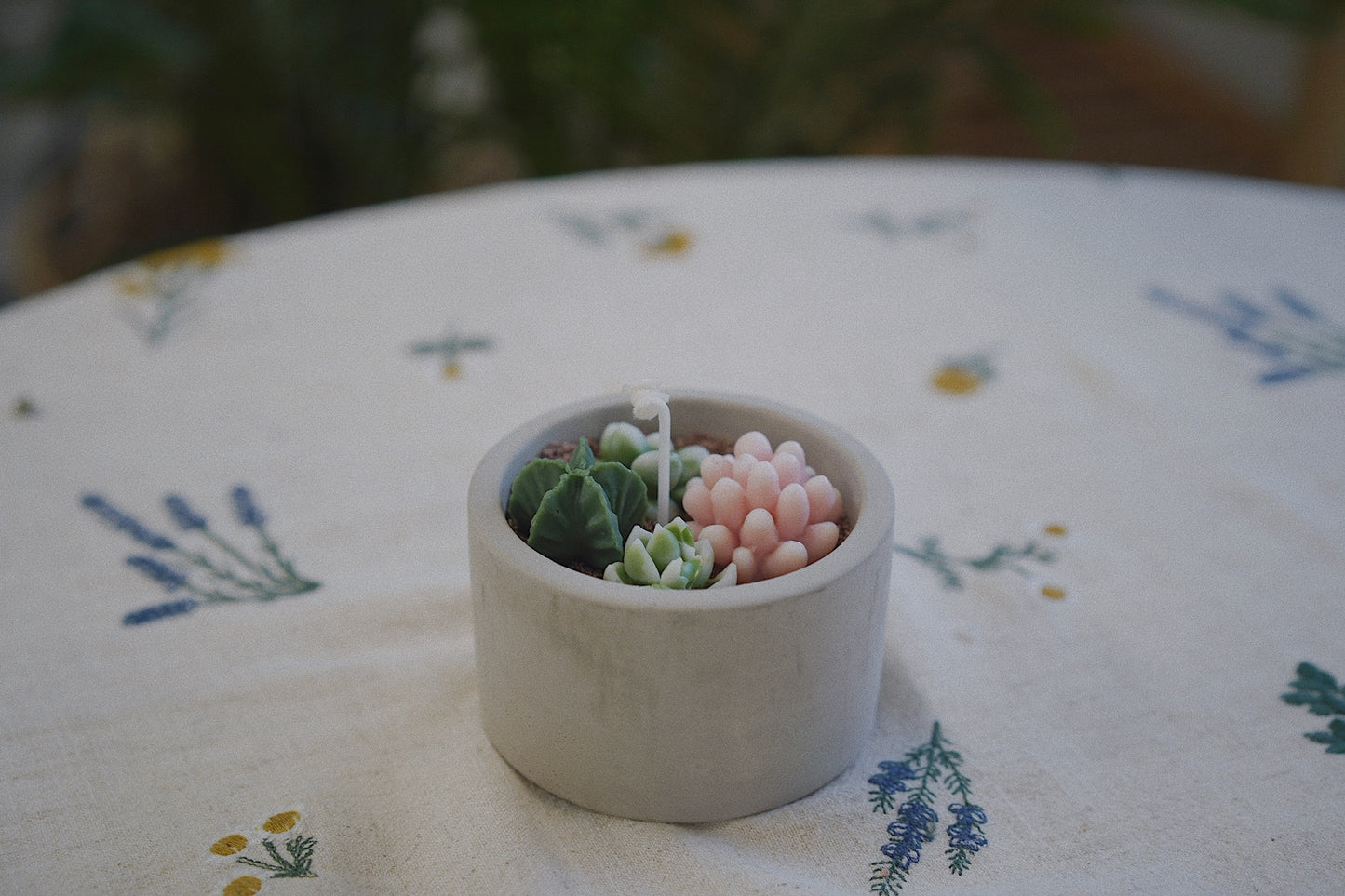 Cactus Candle ๐ต Scented Diffuser Candle