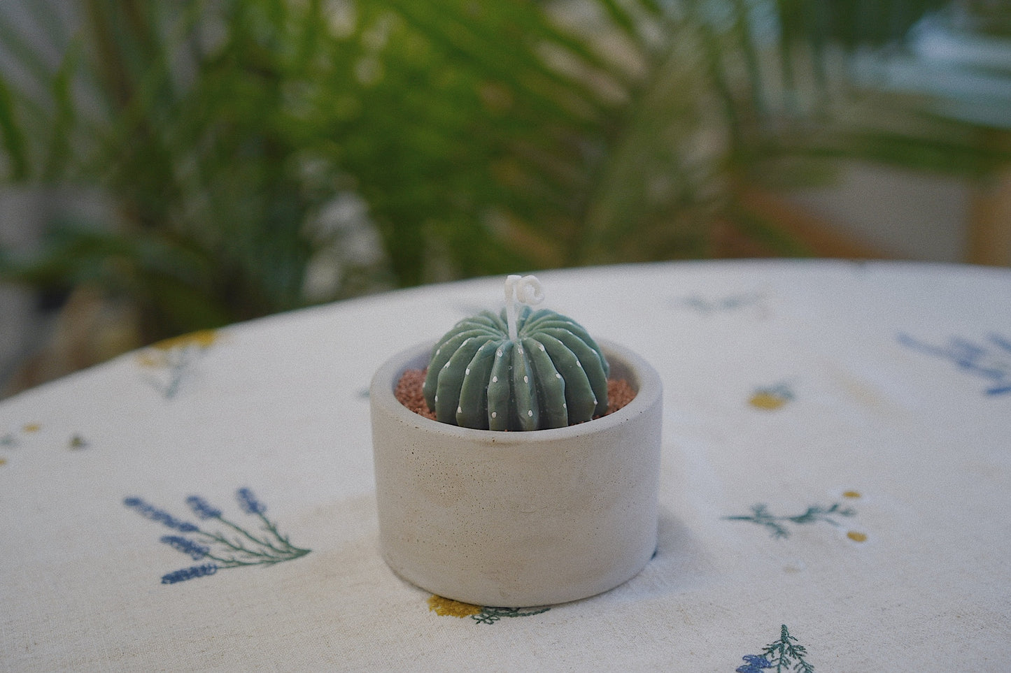 Cactus Candle ๐ต Scented Diffuser Candle