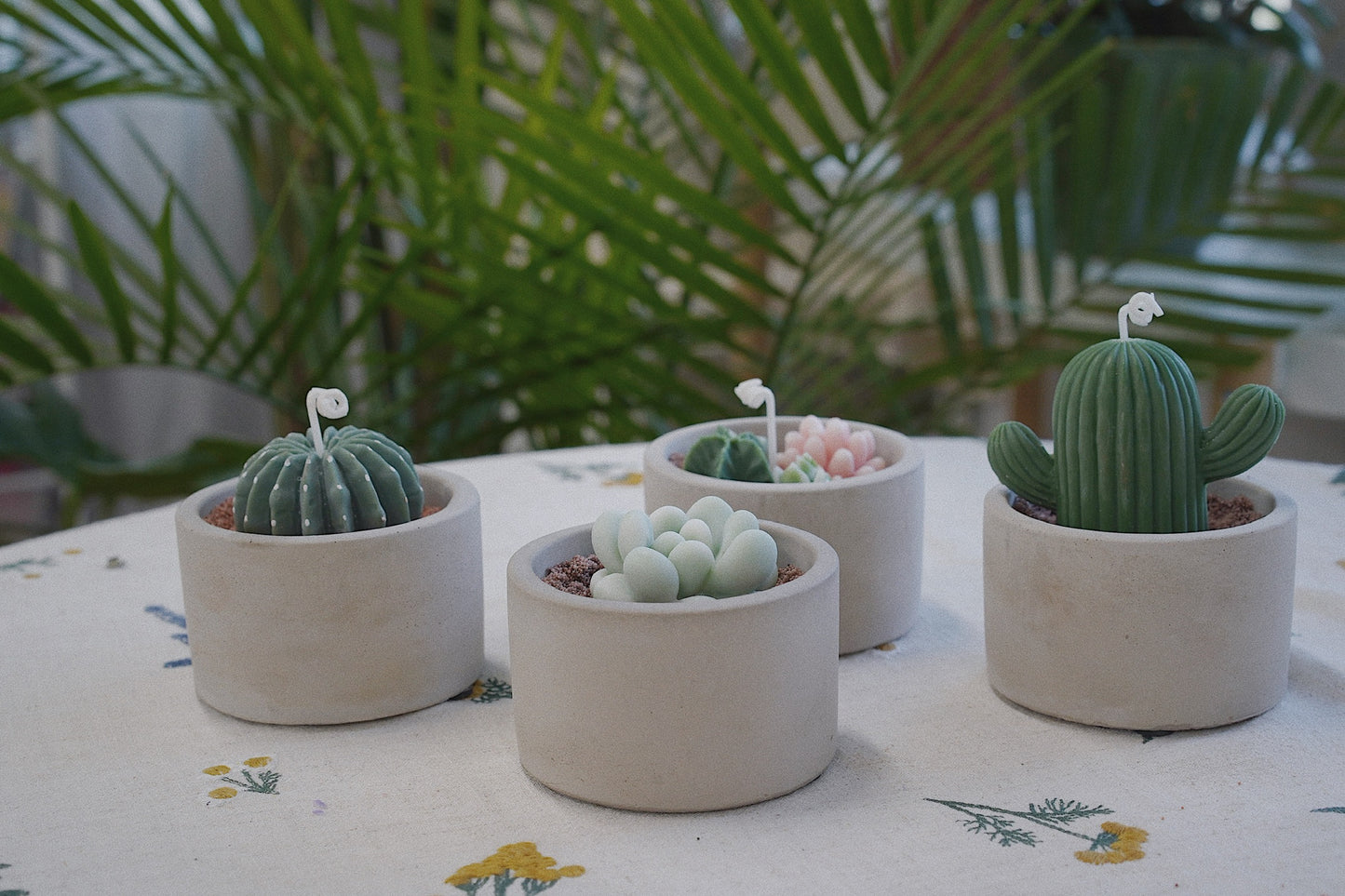 Cactus Candle ๐ต Scented Diffuser Candle
