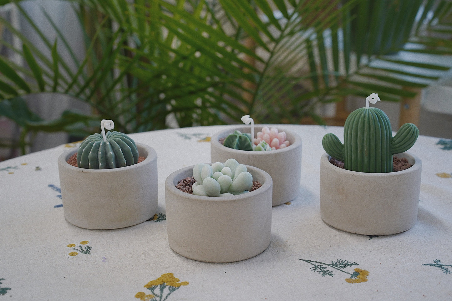 Cactus Candle ๐ต Scented Diffuser Candle