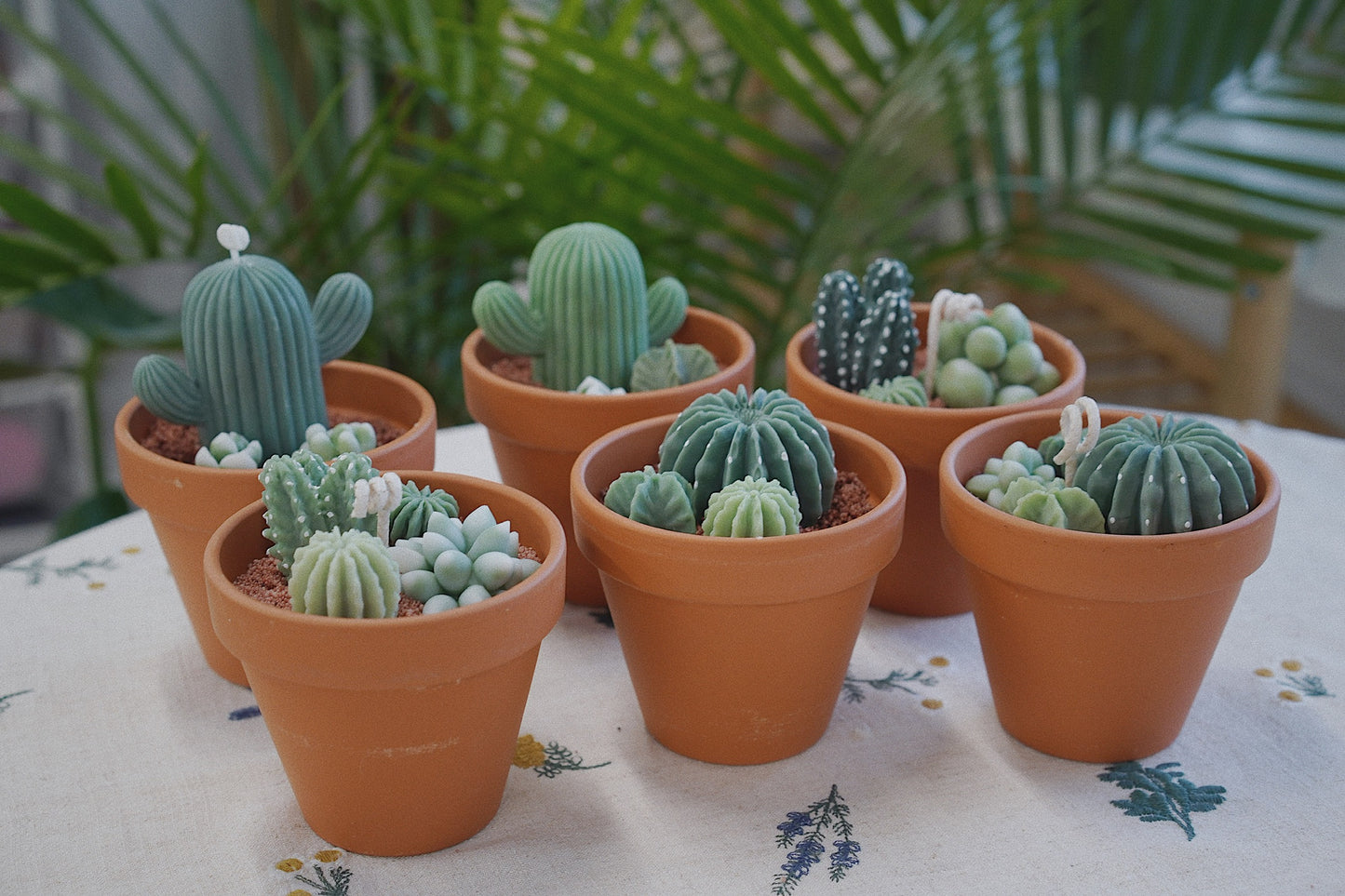Cactus Candle ๐ต Scented Diffuser Candle