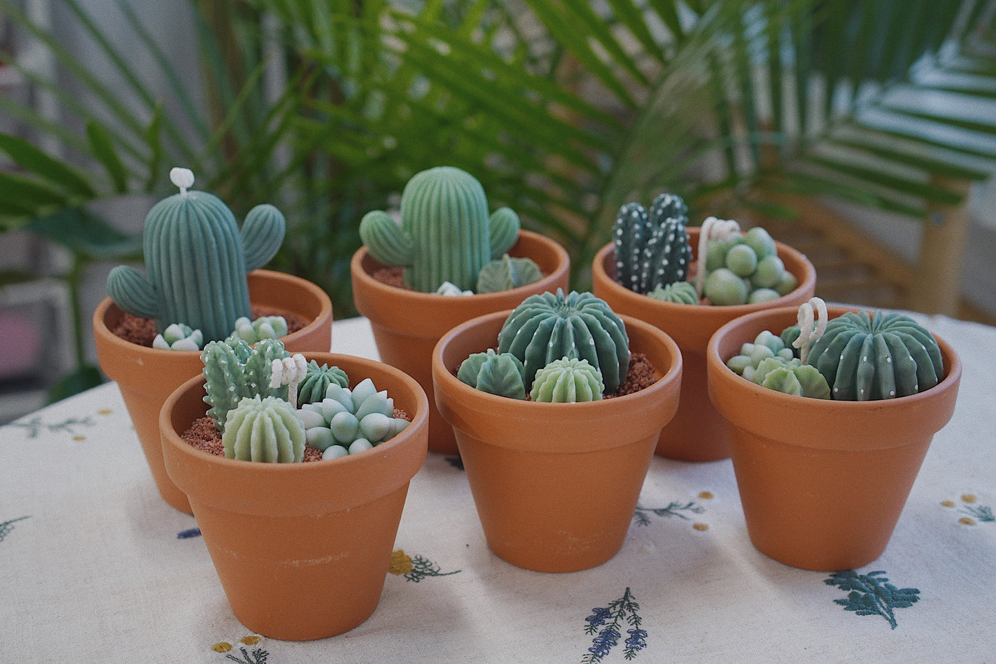 Cactus Candle ๐ต Scented Diffuser Candle