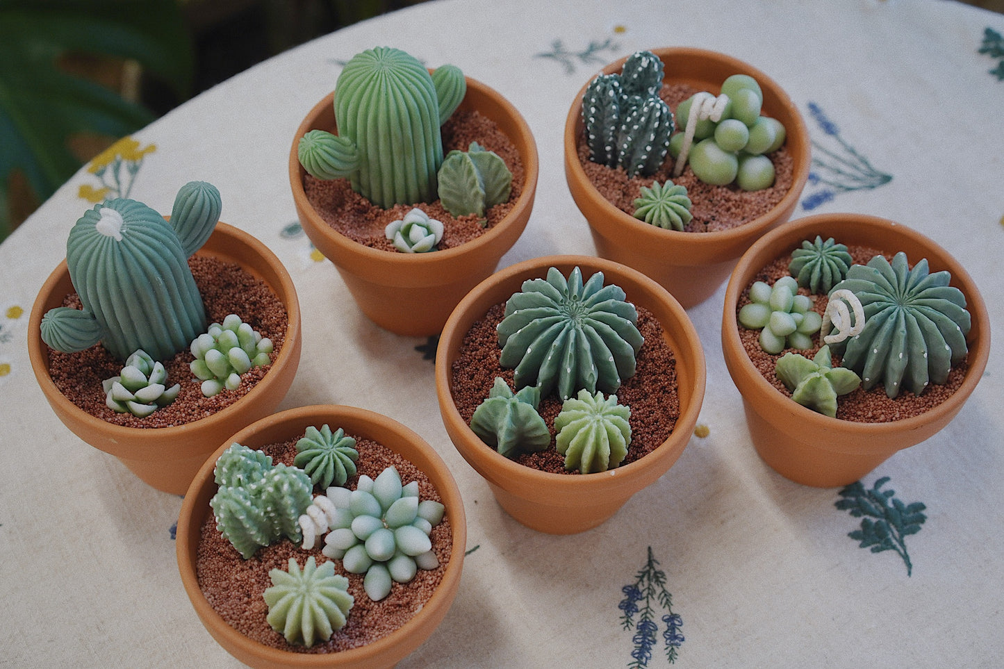 Cactus Candle ๐ต Scented Diffuser Candle