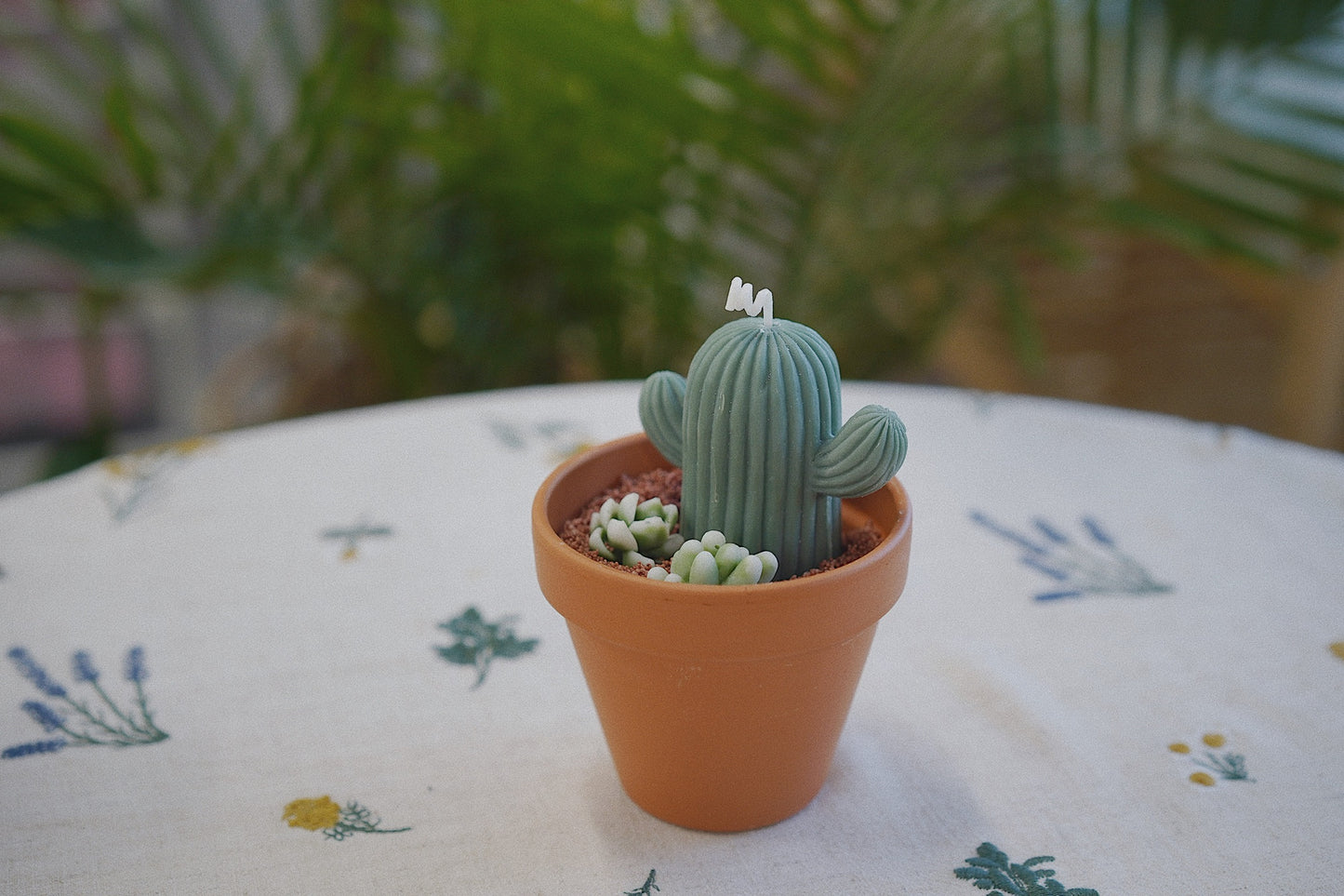 Cactus Candle ๐ต Scented Diffuser Candle