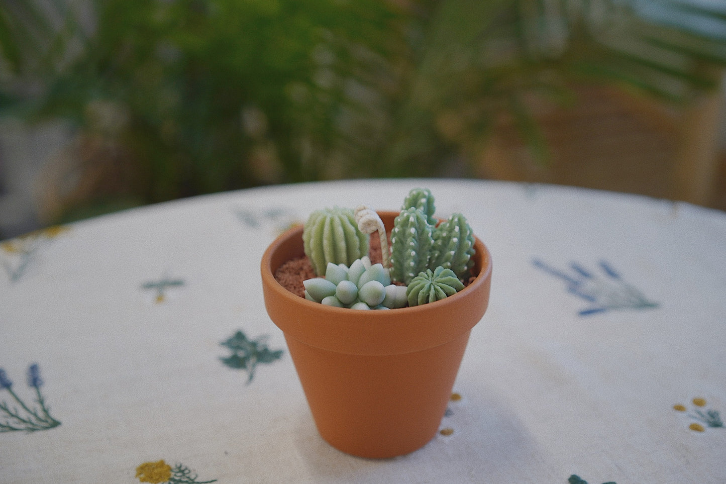 Cactus Candle ๐ต Scented Diffuser Candle