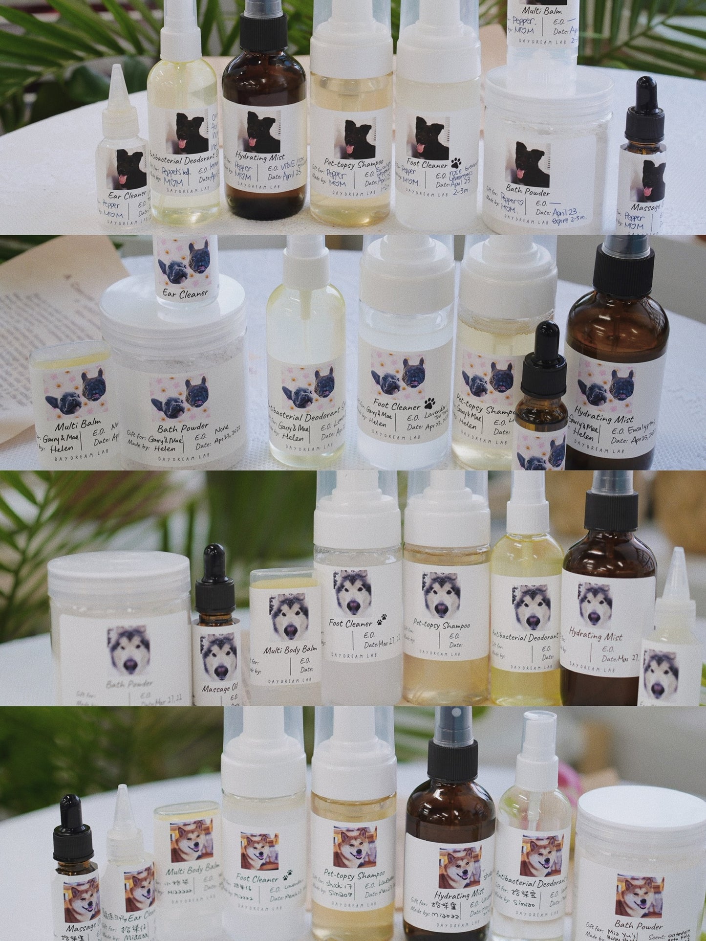 工作坊-宠物用品DIY天然护肤班宠物狗自然护理产品DIY课程(有线上视频课)