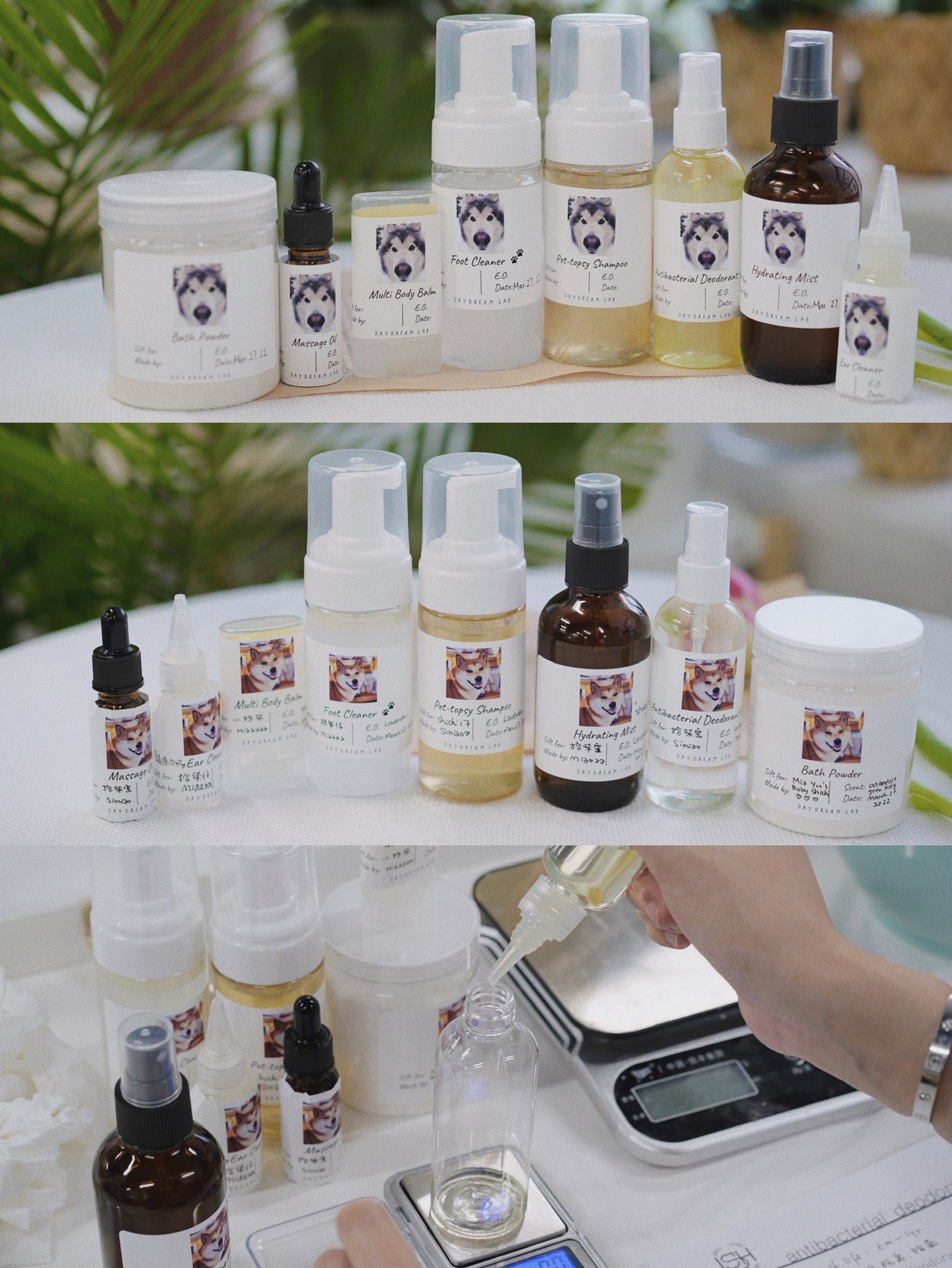 工作坊-宠物用品DIY天然护肤班宠物狗自然护理产品DIY课程(有线上视频课)