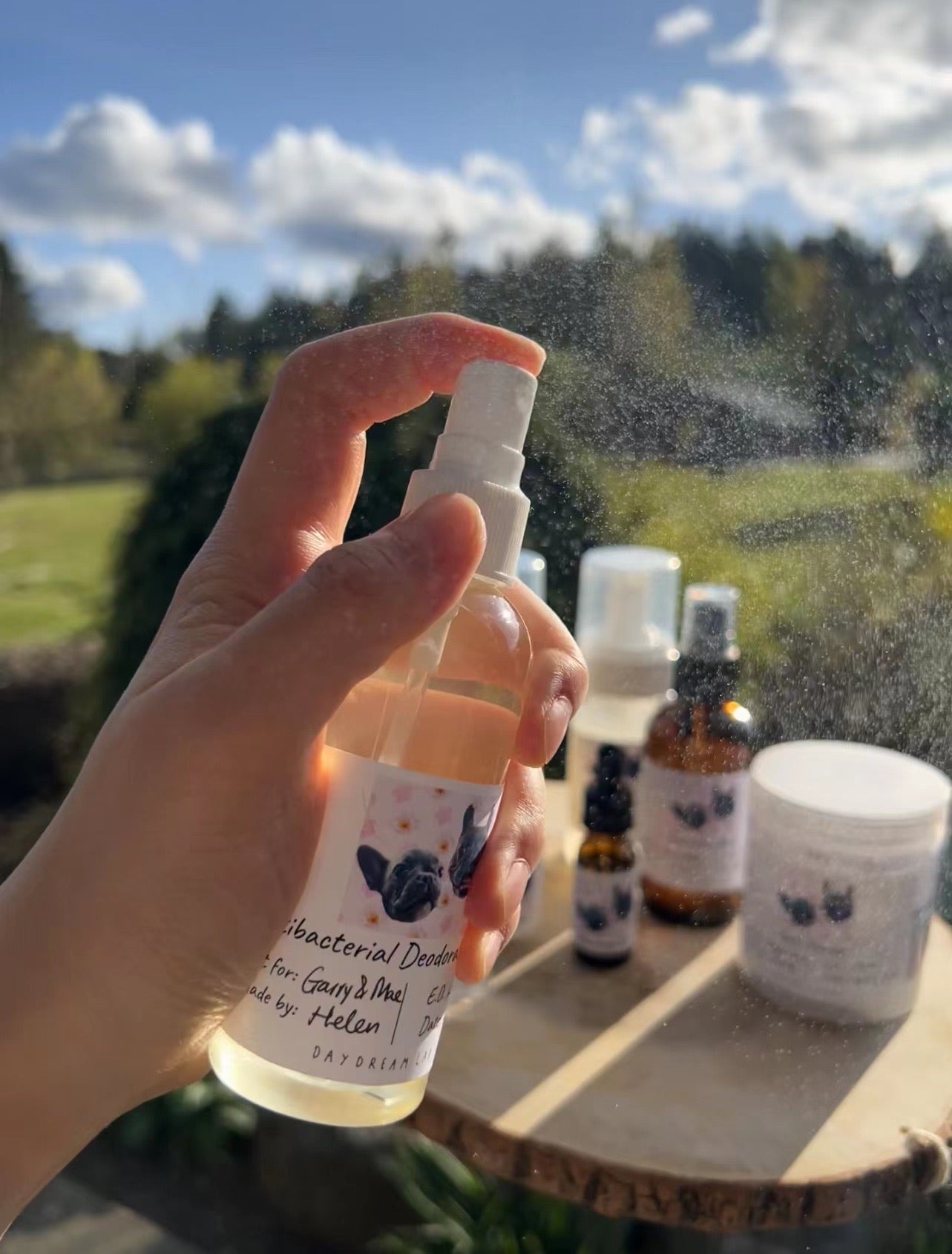 工作坊-宠物用品DIY天然护肤班宠物狗自然护理产品DIY课程(有线上视频课)
