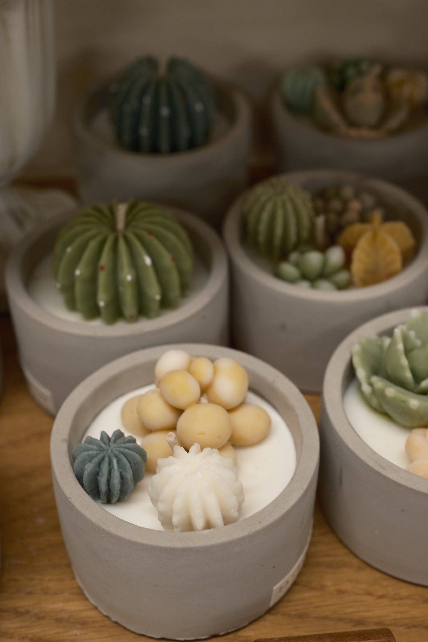 Plant 🌵 Soy Wax Container Candle