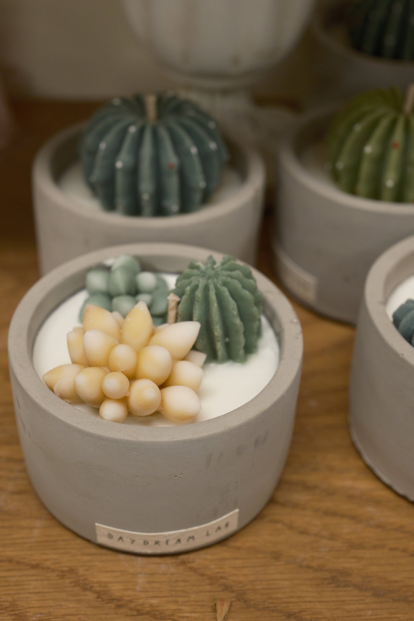 Plant 🌵 Soy Wax Container Candle