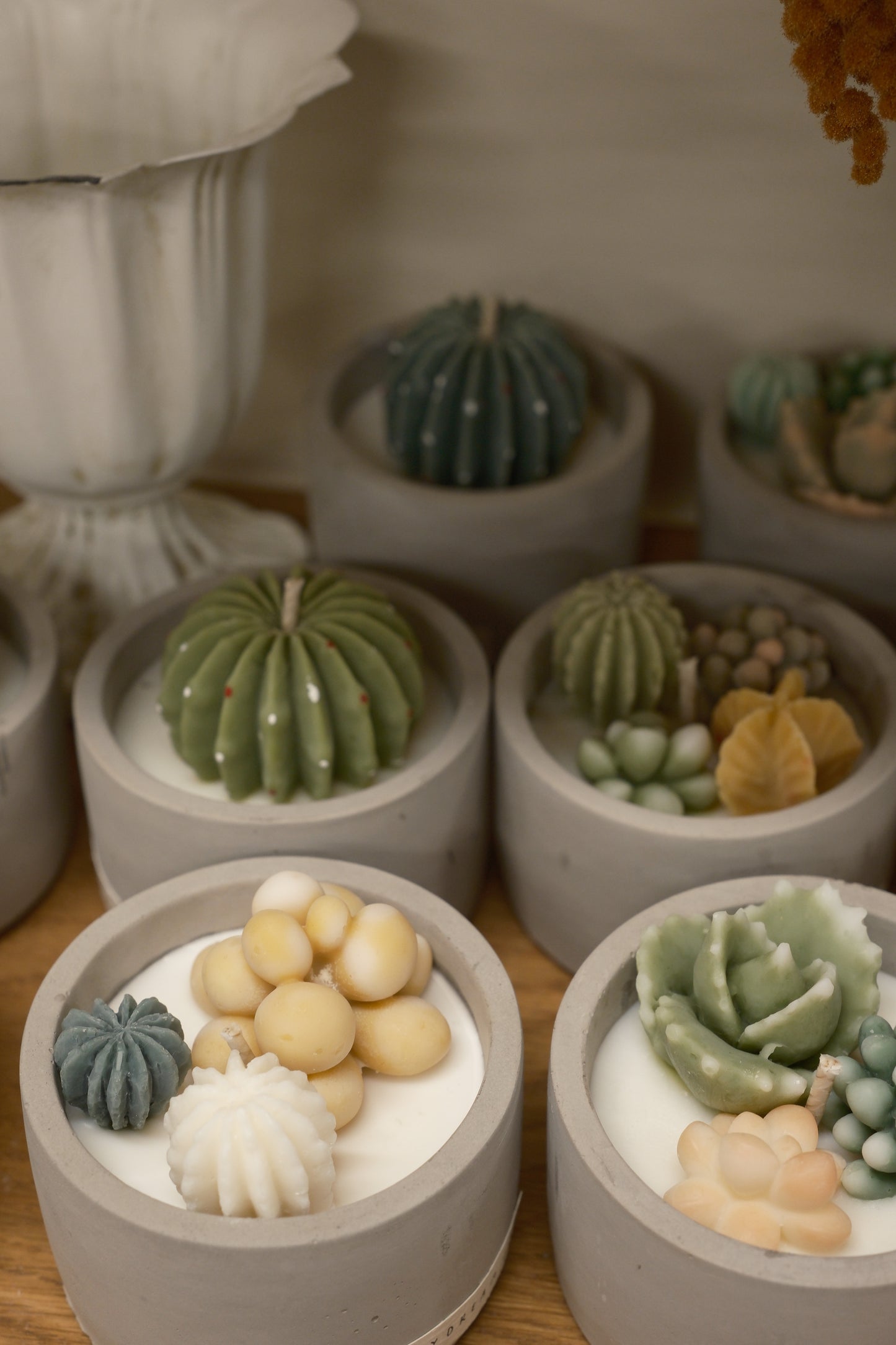 Plant 🌵 Soy Wax Container Candle