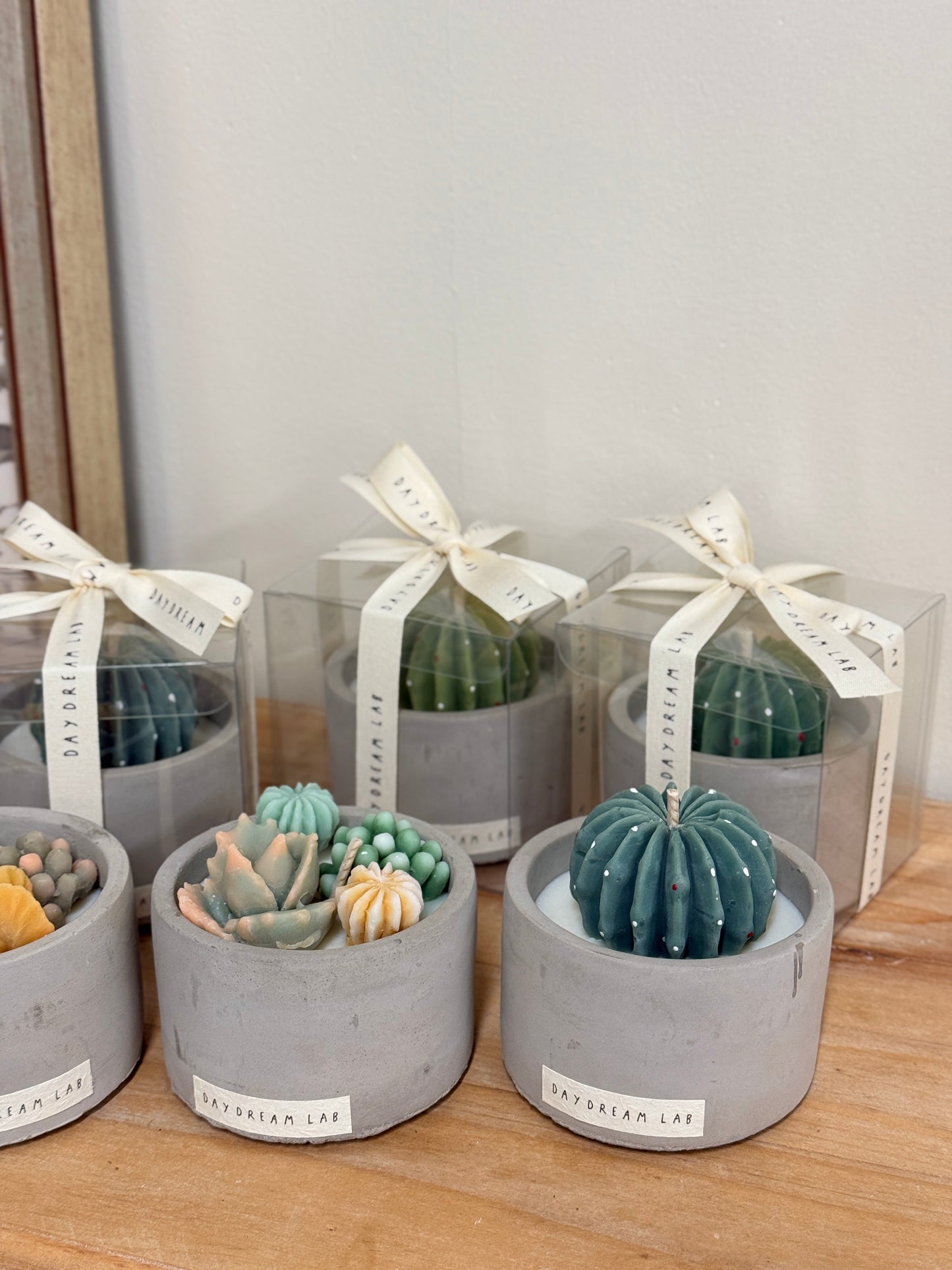 Plant 🌵 Soy Wax Container Candle