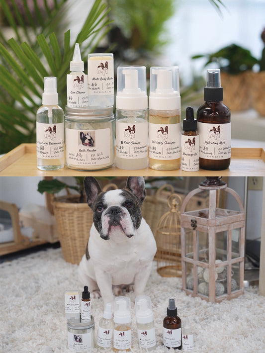 Workshop - DIY Pet Products Natural Skincare Class 宠物狗天然护理产品DIY课程（有线上视频课）