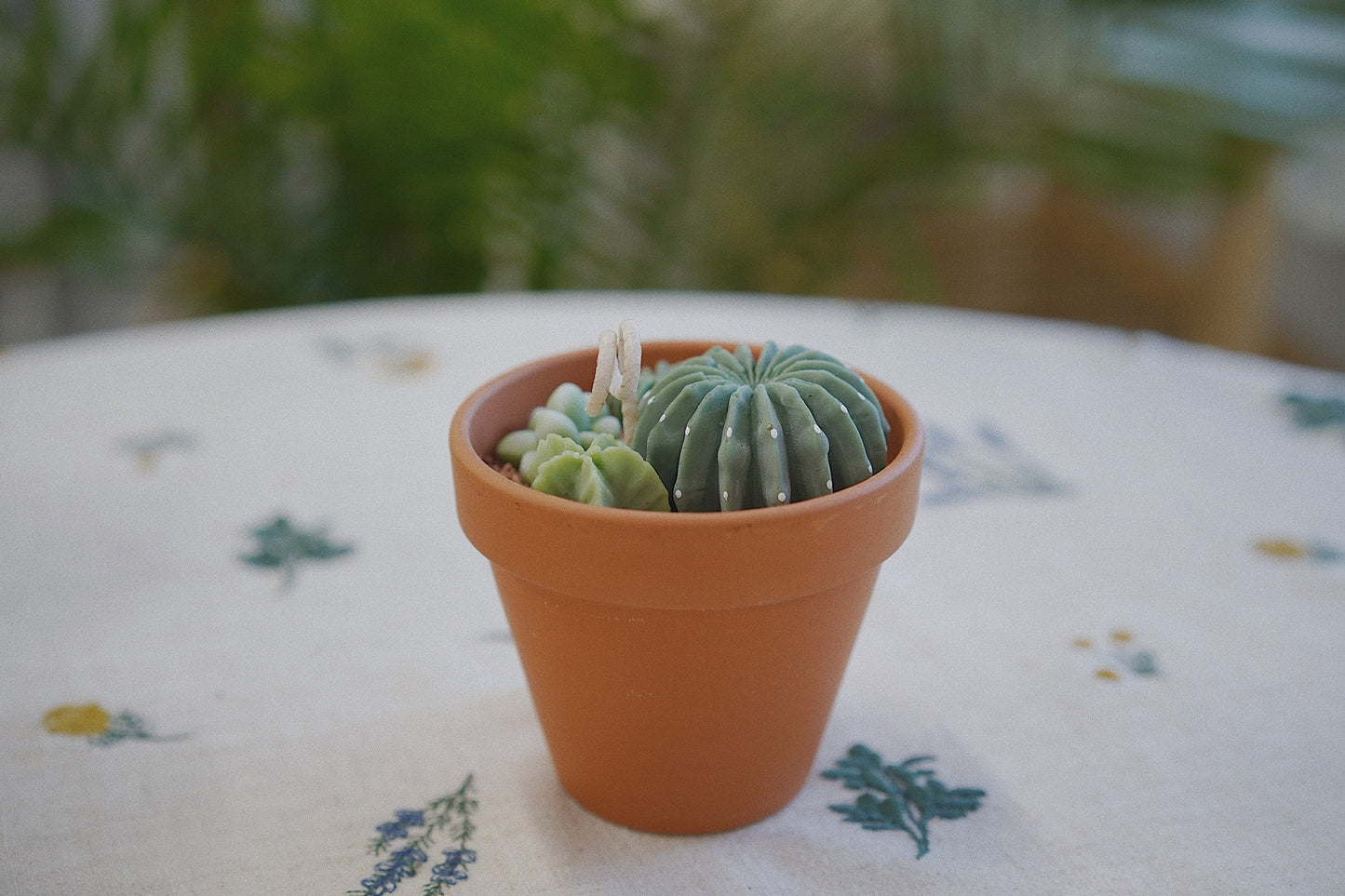 Cactus Candle 🌵 Scented Diffuser Candle