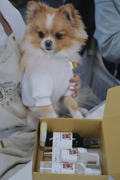 工作坊-宠物用品DIY天然护肤班宠物狗自然护理产品DIY课程（有线上视频课）