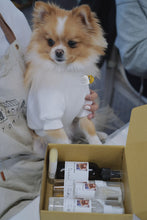 Load image into Gallery viewer, Workshop - DIY Pet Products Natural Skincare Class 宠物狗天然护理产品DIY课程（有线上视频课）
